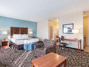 Deluxe King Suite - Non-Smoking