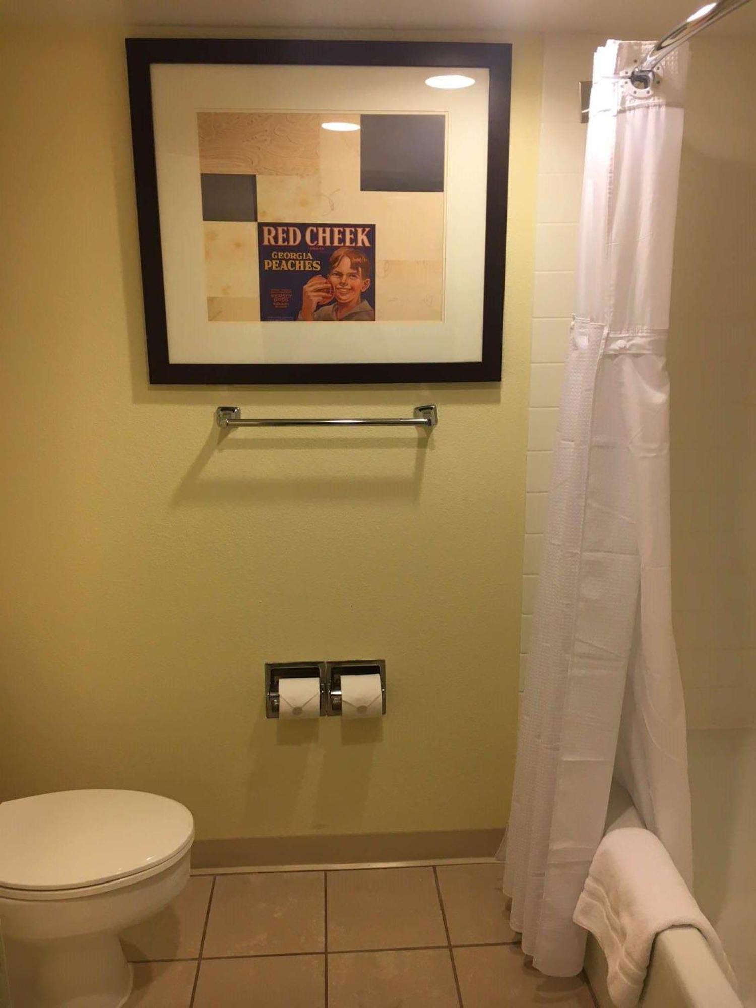 Junior King Suite with Sofa Bed,1280954227:JPEG