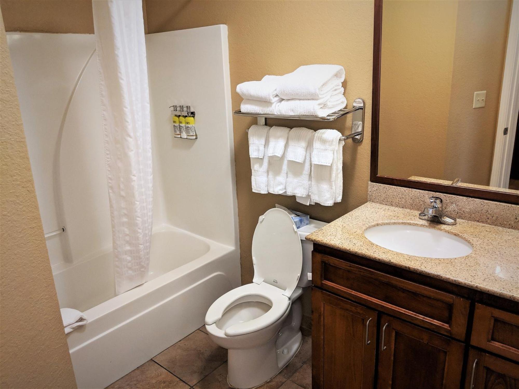 Studio Suite with Two Double Beds,1449402706:JPEG