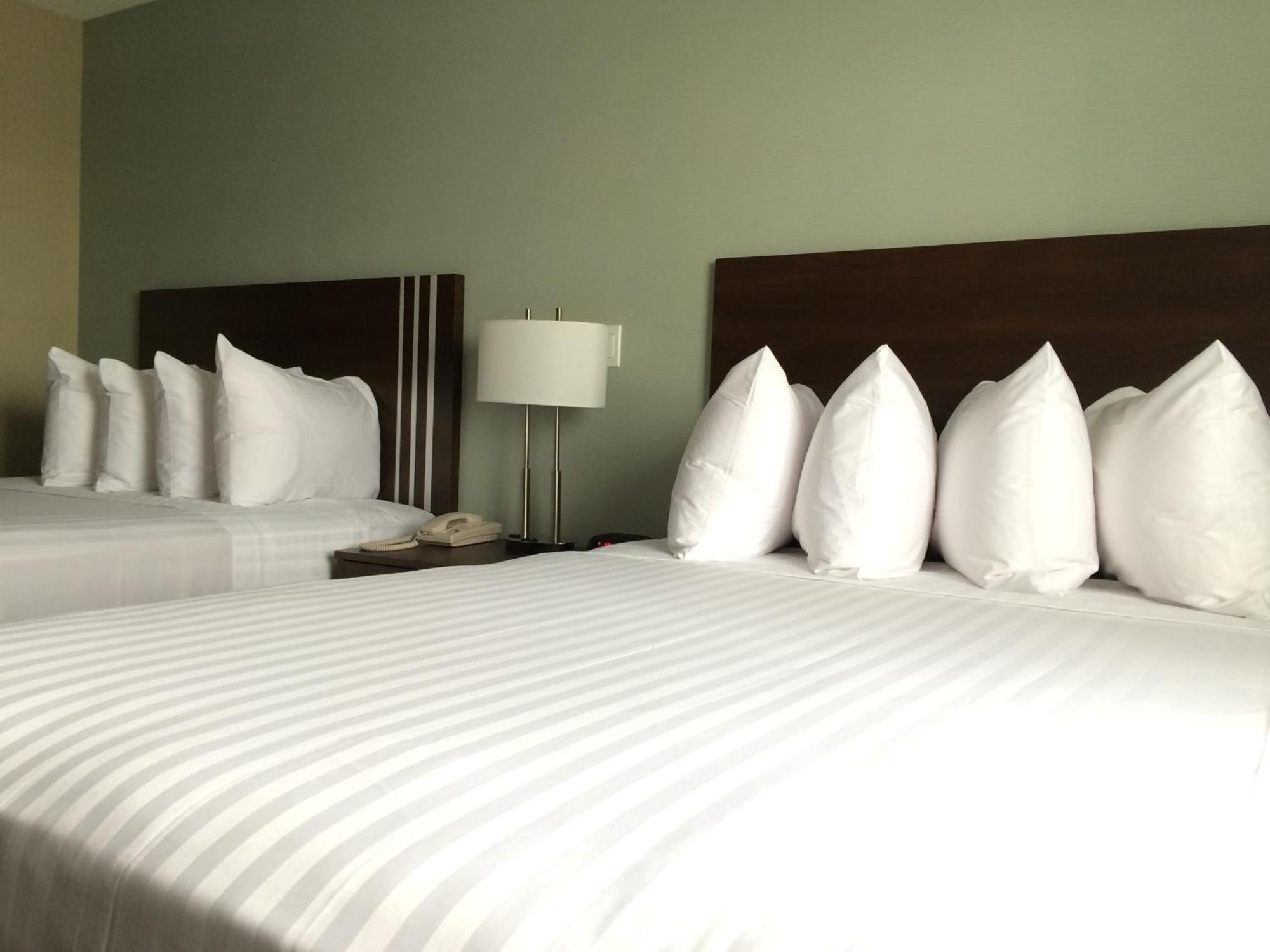 Standard Queen Room with Two Queen Beds