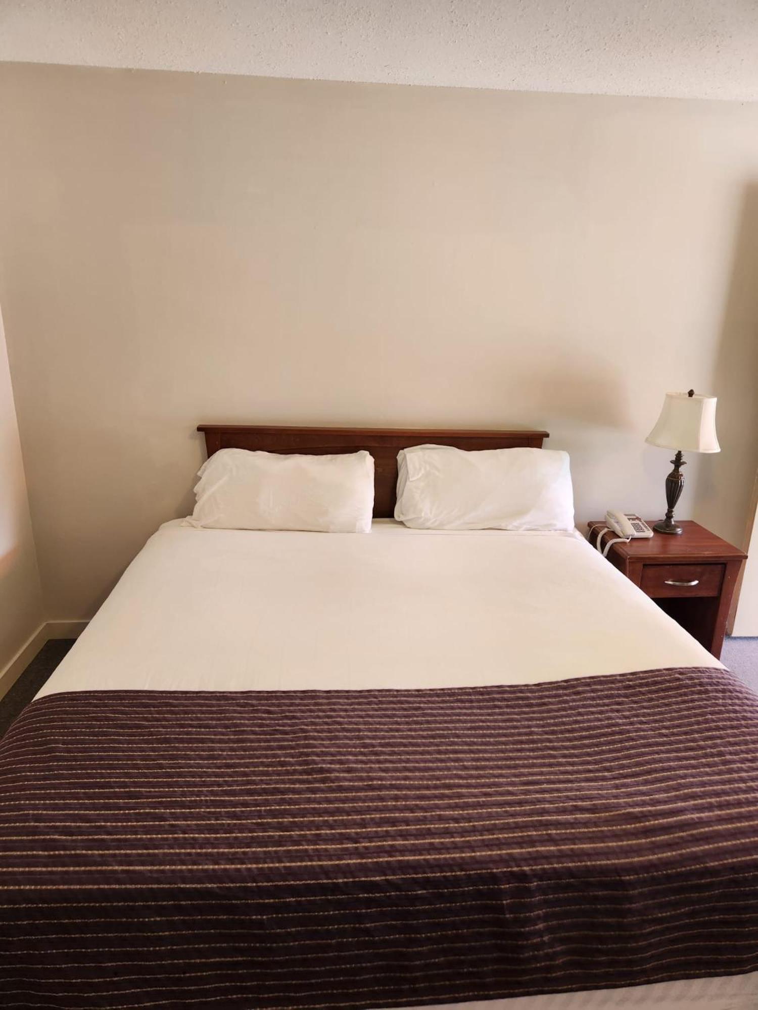 King Room,1733307841:JPEG