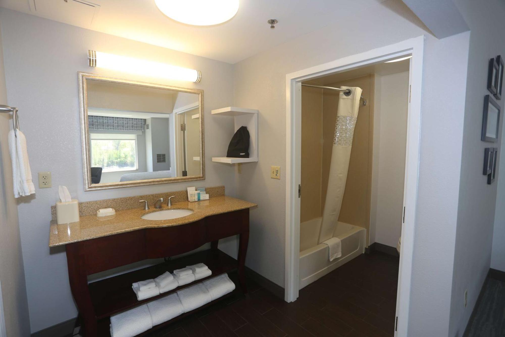 King Studio Suite with Sofa Bed - Non-Smoking