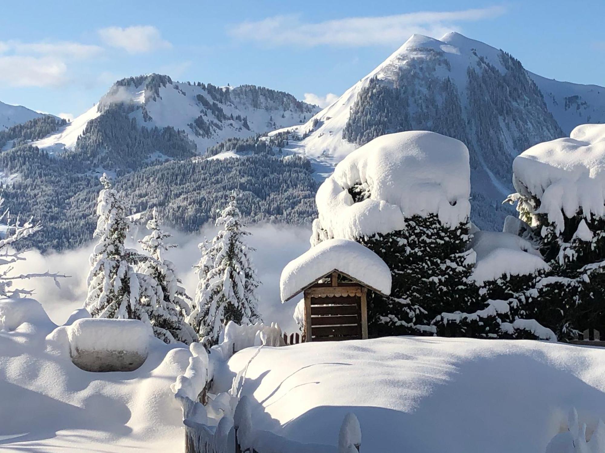 Three-Bedroom Chalet,1596033449:JPEG