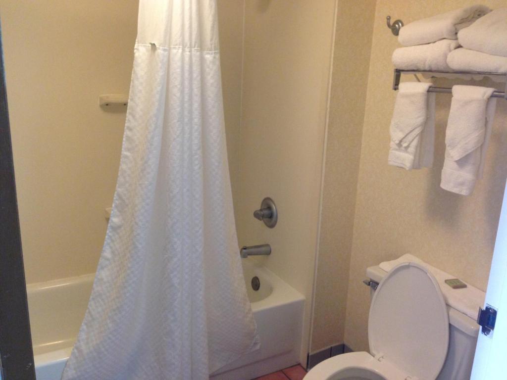 Superior King Room - Non-Smoking,1282503571:JPEG