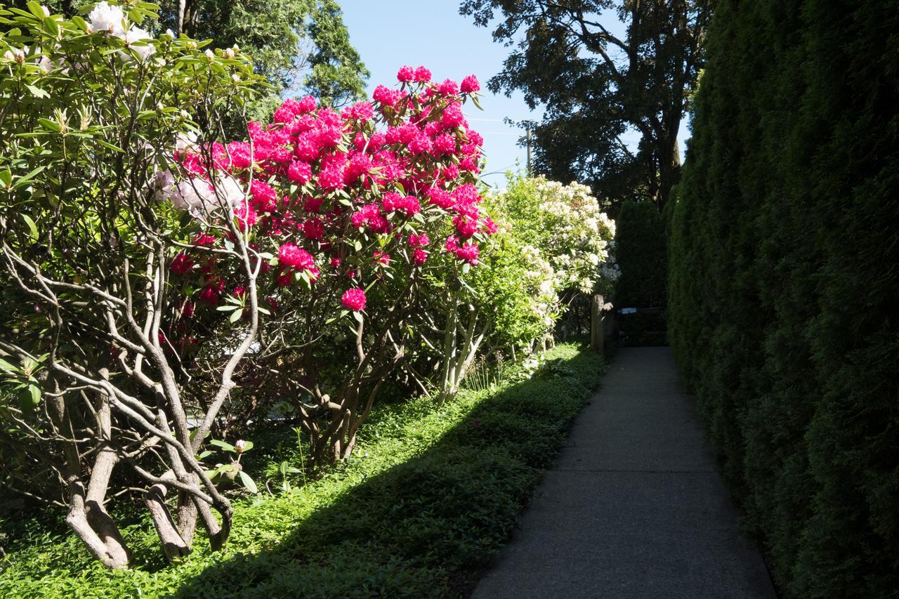 Two-Bedroom Cottage - Accessible