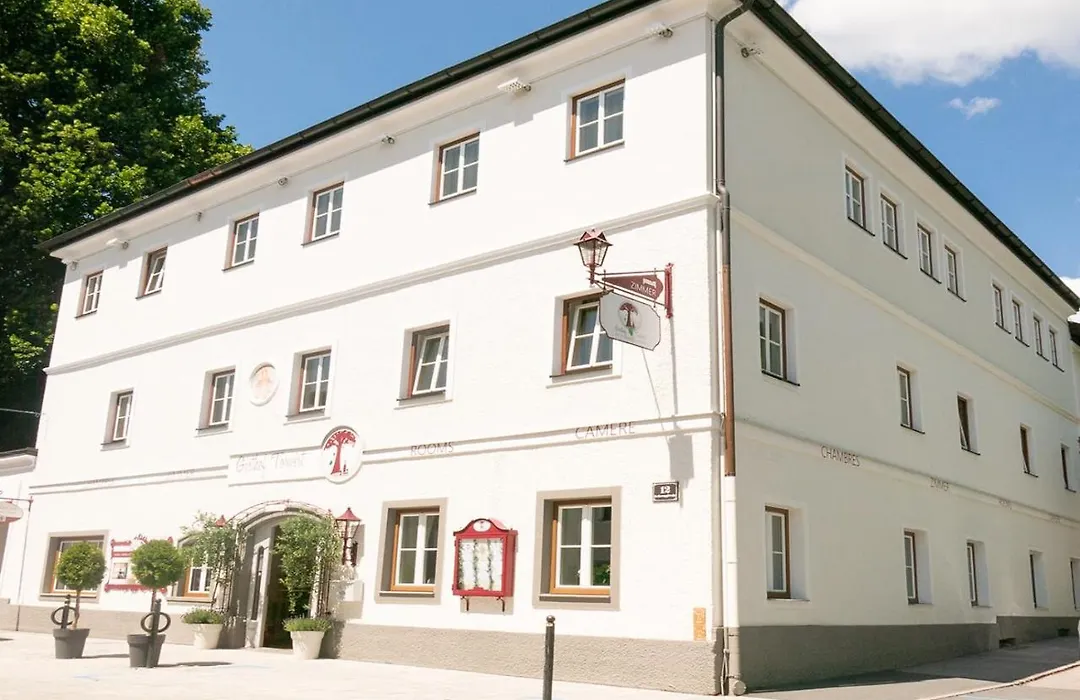 Gasthof Torwirt Radstadt-1