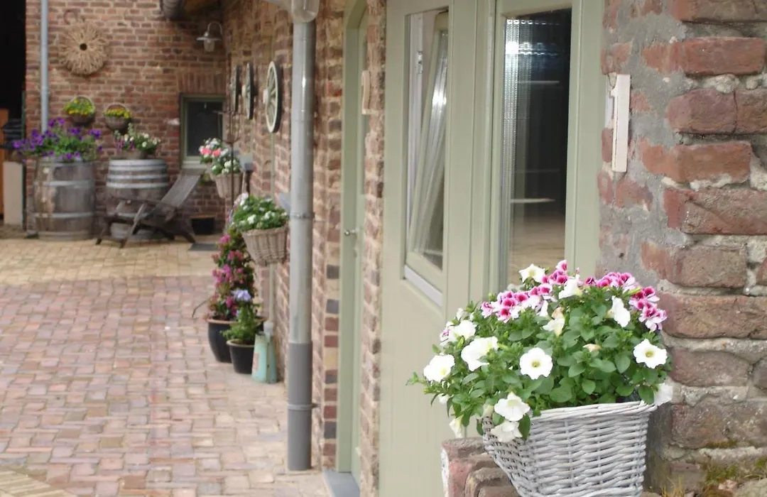 B&B Ut Good-1