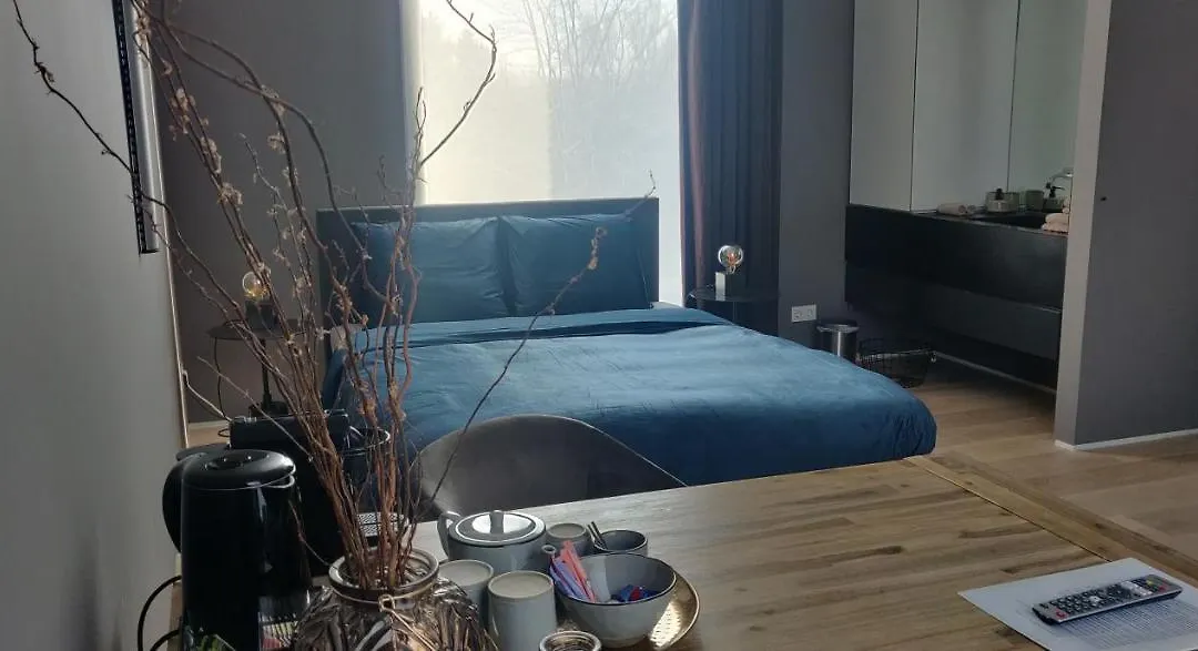 Bed&Wellness Boxtel, luxe kamer met airco en eigen badkamer-1