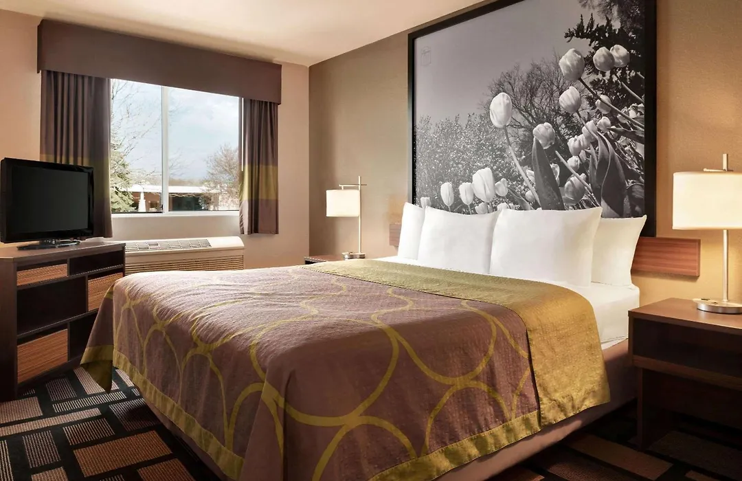 Super 8 By Wyndham Akron S/Green/Uniontown Oh-1