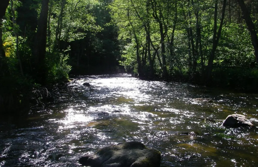 Au Pont de Raffiny-1