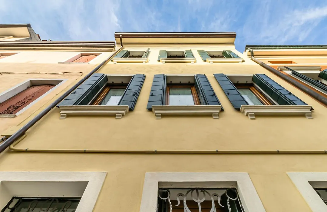 Domus Color-1