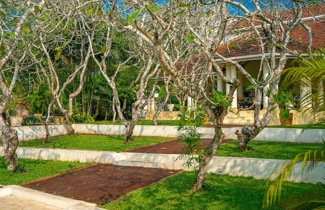 The Sun House-1