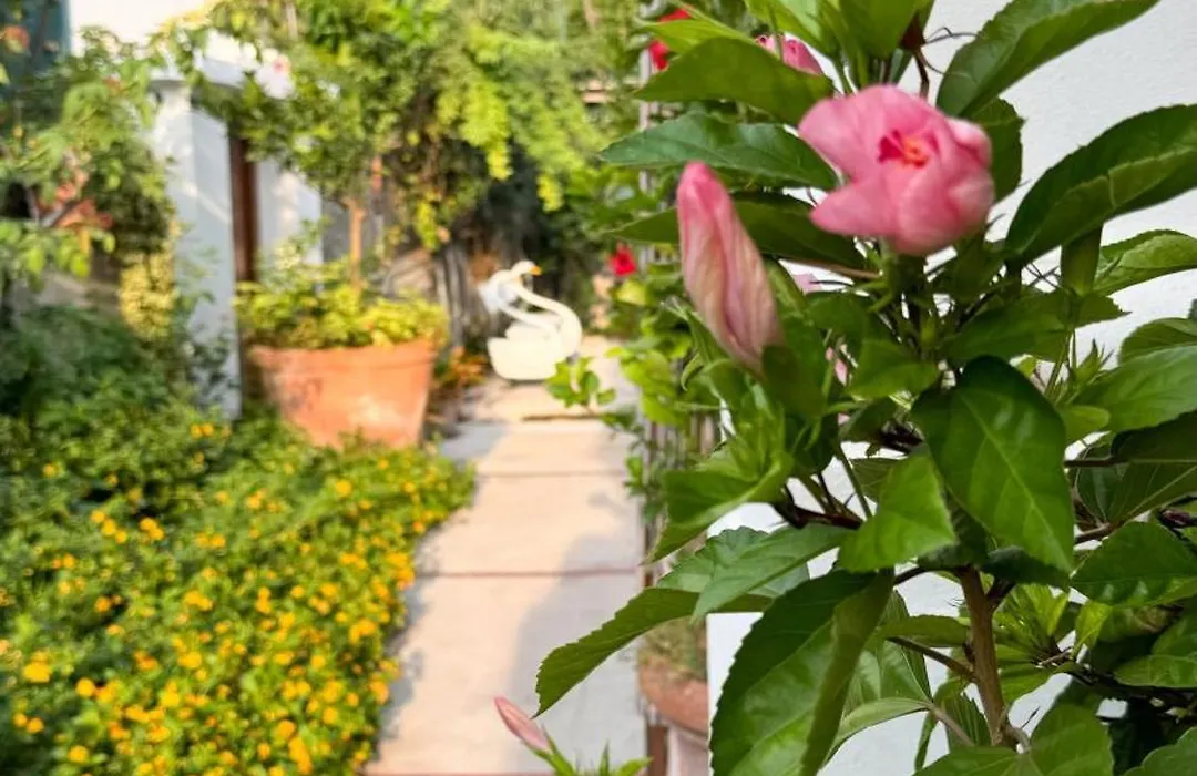 Il Cigno B&B-1