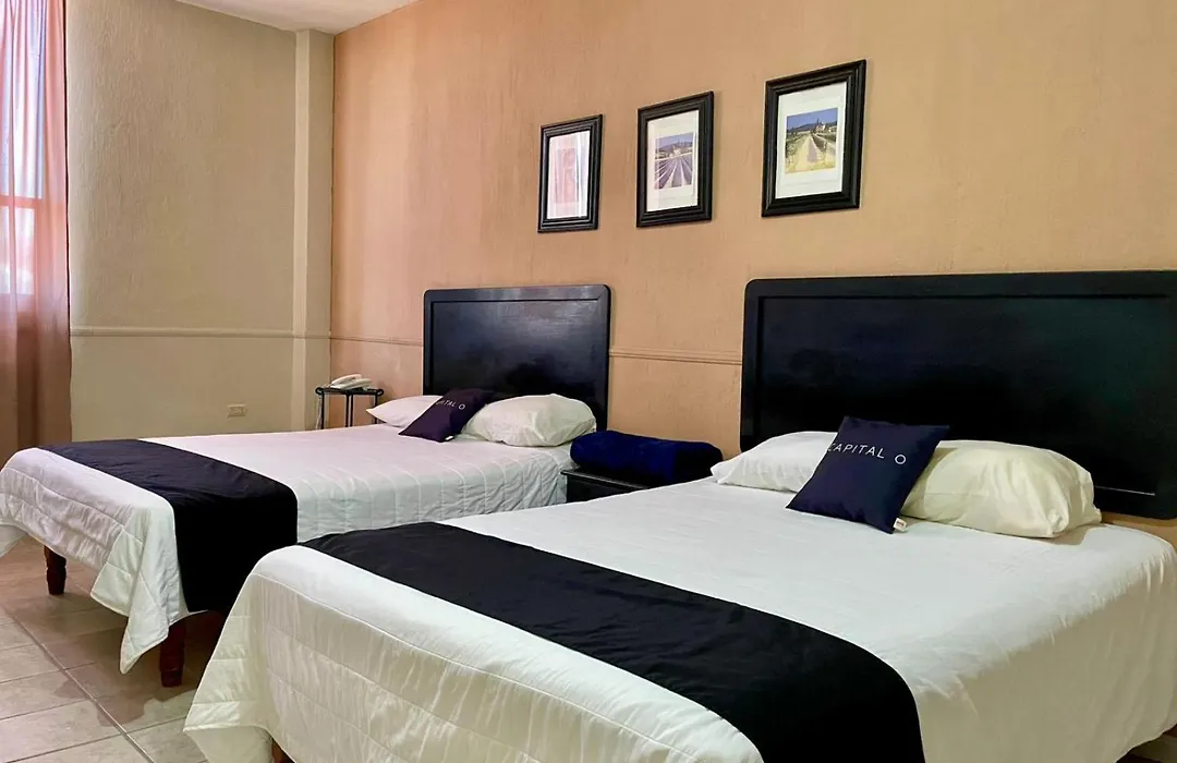 Hotel Marney Aguascalientes-1