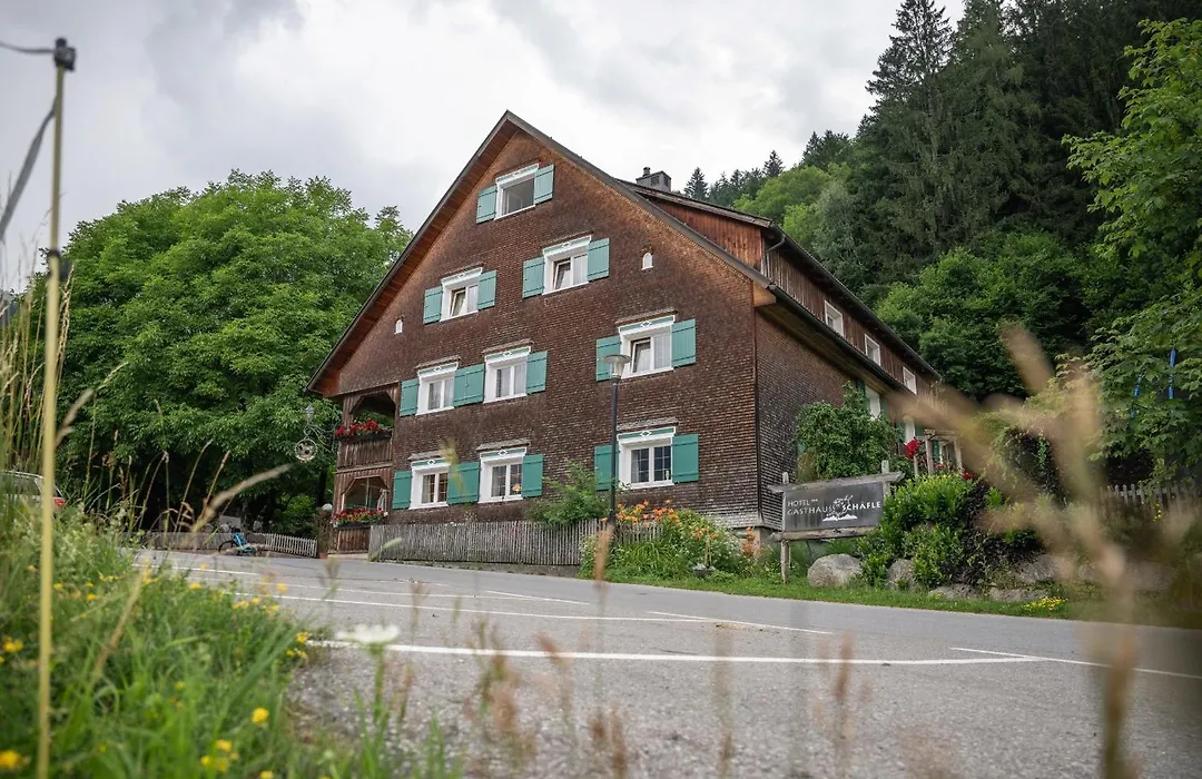 Hotel Gasthaus Schäfle-1