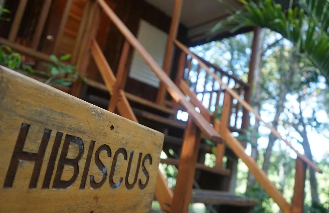 Mariposa Jungle Lodge-1
