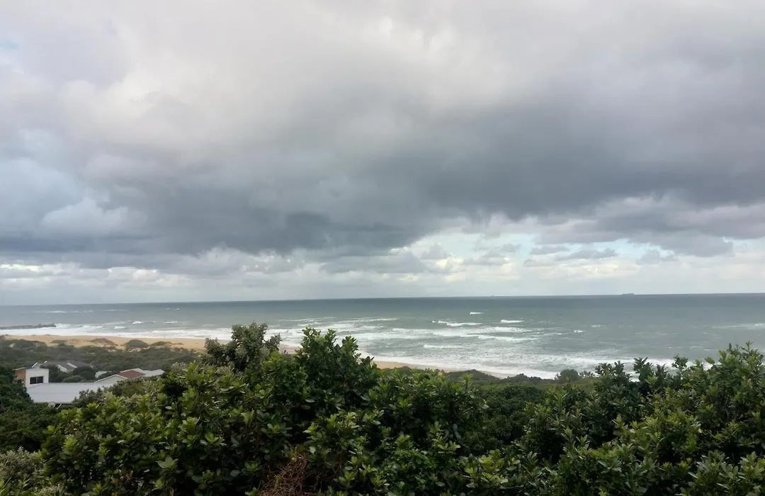 The View-1