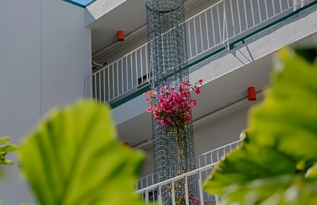 Oasis Inn-1