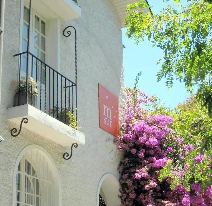 Meridiano Sur Petit Hotel-1