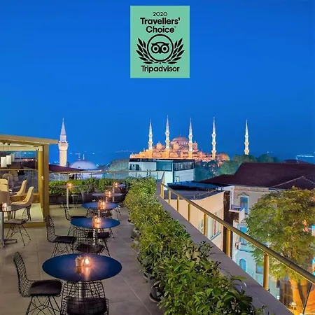 Tan Hotel - Special Category-3