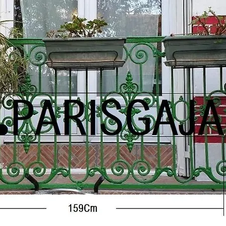 Parisgaja-2