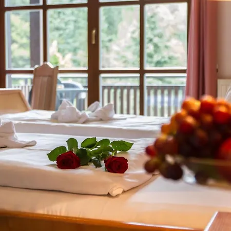 Hotel Schwarzbeerschänke Pobershau-3