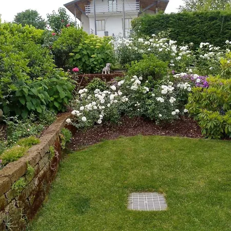Casa Arge-2
