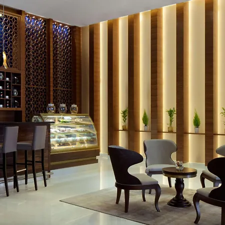 Radisson Blu Hotel, Dubai Waterfront-3