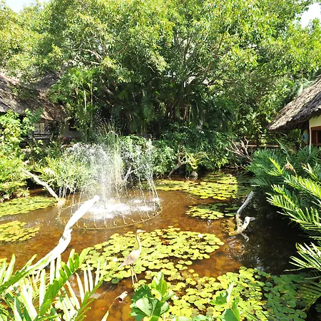 Leopard Beach Resort&Spa-2