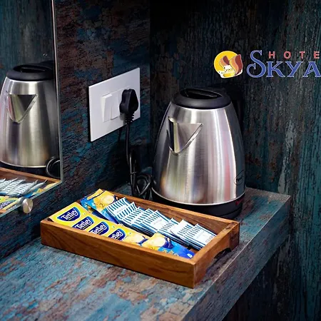 Hotel Skyark-2