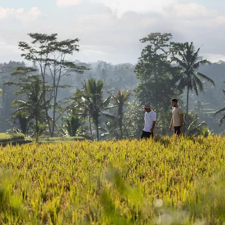 Wapa Di Ume Ubud-2