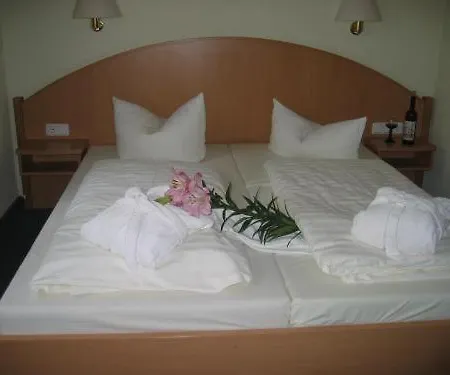 Hotel Goldener Karpfen-3