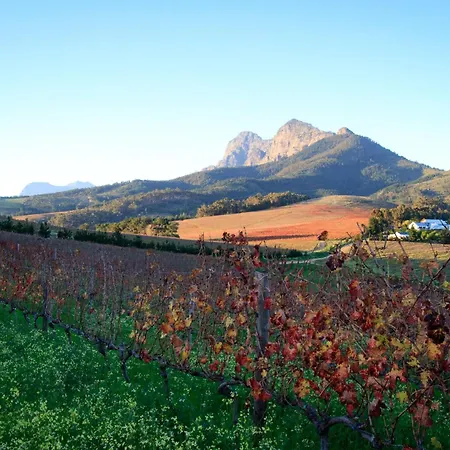 Marianne Wine Estate-2