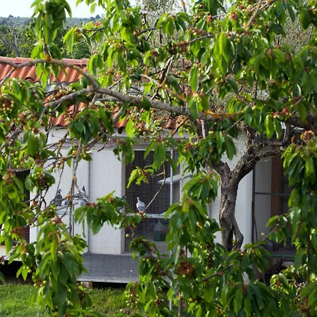 B&B Moderno-3