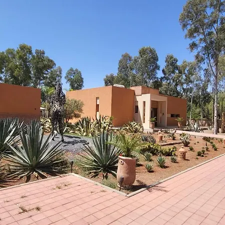 Le jardin de Jeanne-3