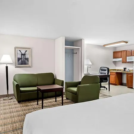 Mainstay Suites Addison-Dallas-3