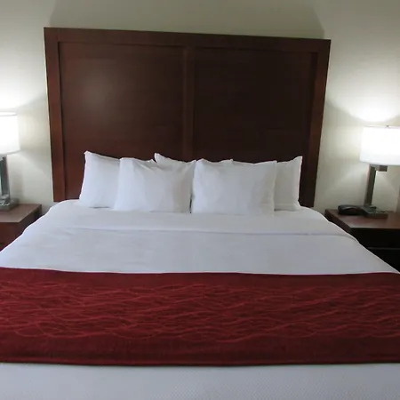 Comfort Inn Wichita Falls Near University-2