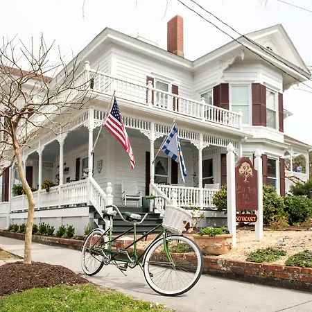 Pecan Tree Inn-2