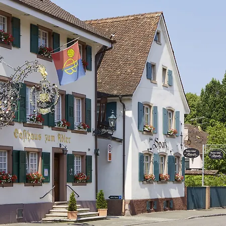 Hotel Adler - Weil am Rhein / Basel-3