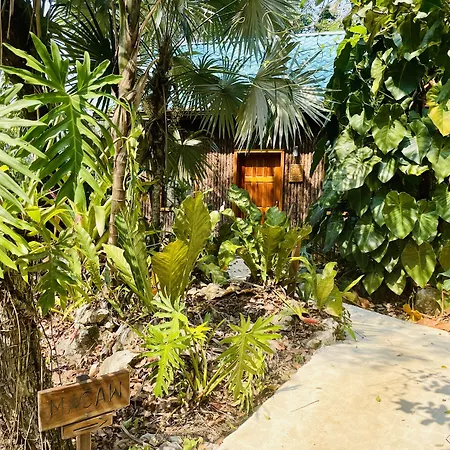 Mariposa Jungle Lodge-3