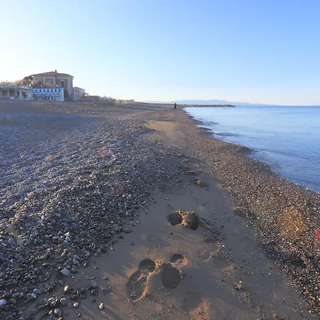 Hotel Cecina Beach-2