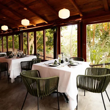 Zelune Luxury Lagoon Resort Bacalar - Adults Only-2