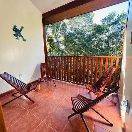 Mariposa Jungle Lodge-2