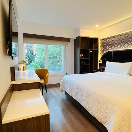 Holiday Inn Express Ciudad De Mexico Condesa By Ihg-3