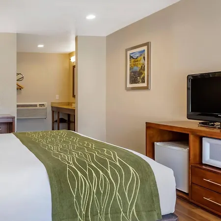 Comfort Inn Bishop-2