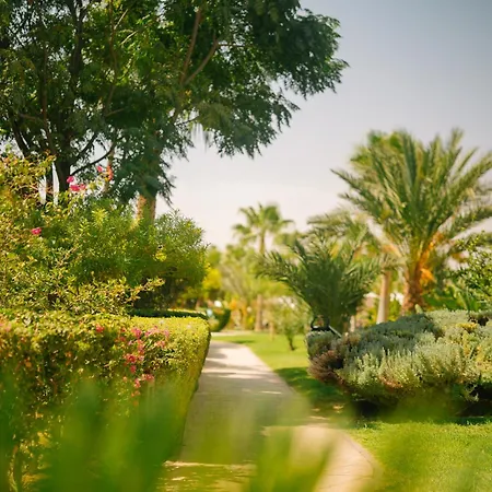 Be Live Collection Marrakech Adults Only All Inclusive-2