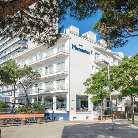 Hotel Planamar By Escampa Hotels-2