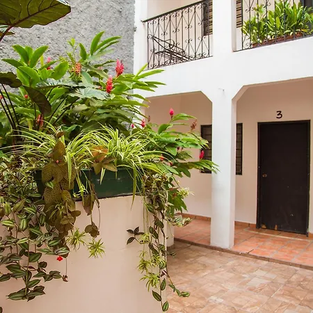 Posada Kin-3