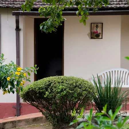 Casa Do Lenhador-2
