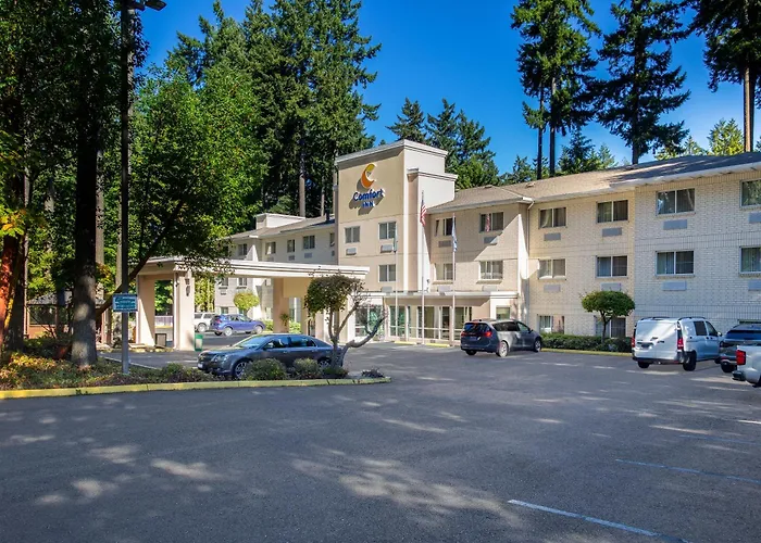 Lacey Cheap Hotels